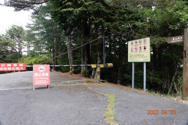 臺中 和平 天池、雪山神木1697397