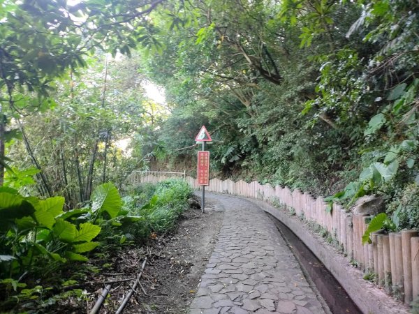 1121104貴子坑親山步道3099485