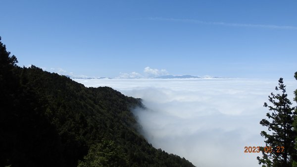 太平山之望洋山&觀雲步道之雲海+觀音圈5/282163461