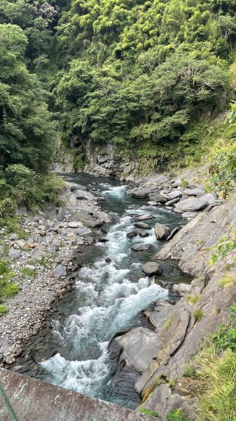 走入清晨19度c的上帝部落>>司馬庫斯(巨木群步道)1767376