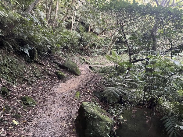 [山頂鳥40周年會員大縱走-08/15] 2024_0715 銀河洞越嶺登山步道2556768