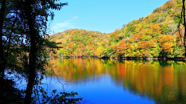 秋田縣白神山地十二湖2929771