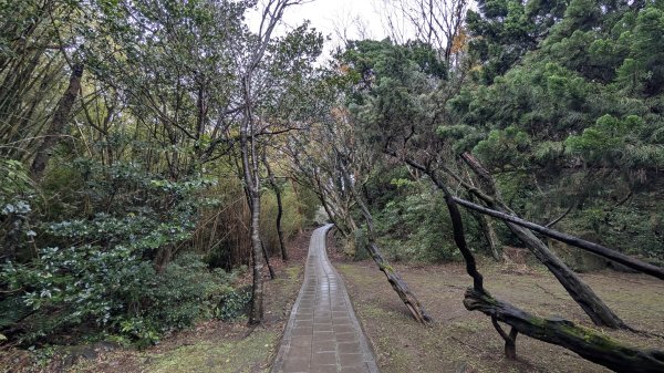 114.12.27尖山-40砲陣地之旅2971730