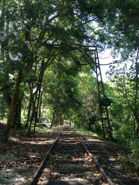 林田山林業文化園區、森坂步道1169124