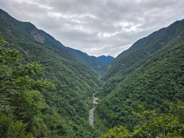 觀高山屋／龍貓公車／八通關山／八通關山西峰2927372