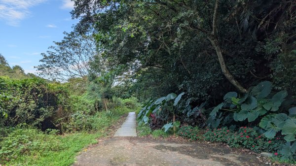 114.11.22鳶山彩碧-鳶山-鳶尾山之旅2943521
