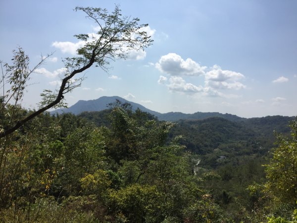 20220305高雄兔和山1633571