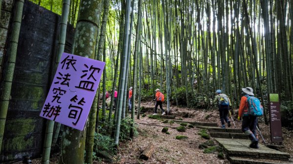2026-07-26 頂湖大凍山、霹靂山、樂野山3091449