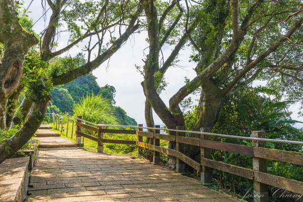 [台北]虎山親山步道、九五峰、南港山2911318