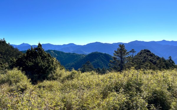 值得為它緩慢⋯白姑大山1487657