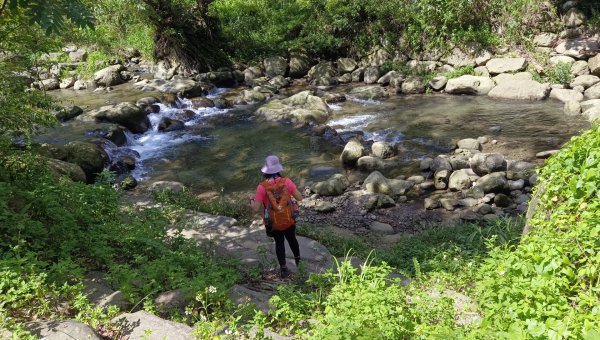 (姨婆趴趴走)第二十一集:桃園復興高遶溪古圳步道、新柑坪山、牛背岩環狀縱走2252291