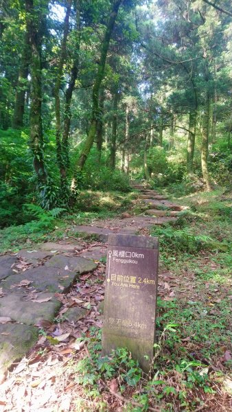 陽明山東西大縱走(東線)965661