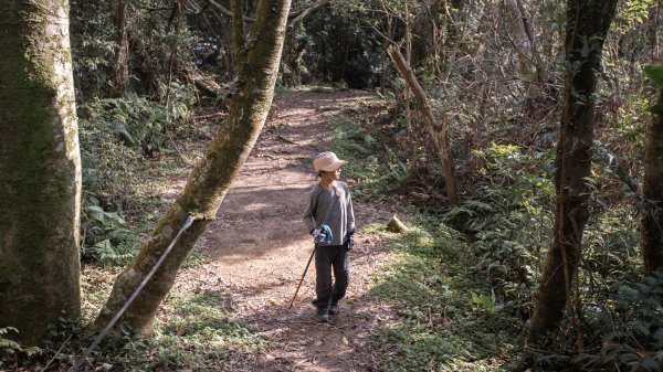 微笑山線 筆架連峰段段｜健行筆記尋寶任務2824789