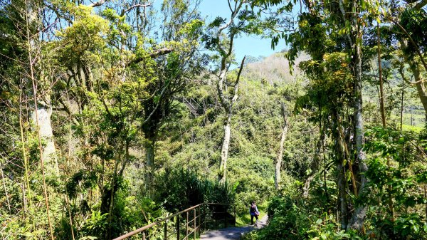 二延平步道。貿易戰2764948