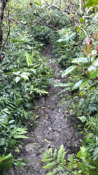 20250203_小百岳女仍山2706845