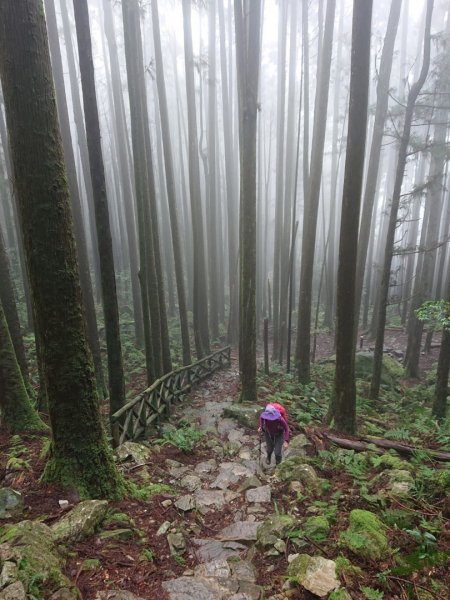 橫嶺山、鳶嘴山O 走1660960