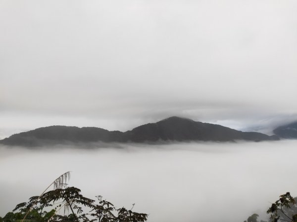 小百岳(68)-藤枝山-202212182053101