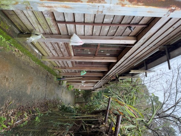 2025元旦 新店獅頭山（小獅山）順遊 高麗坑山，員潭子坑山，待荖坑山，樟湖山，樟山 出政大2680981