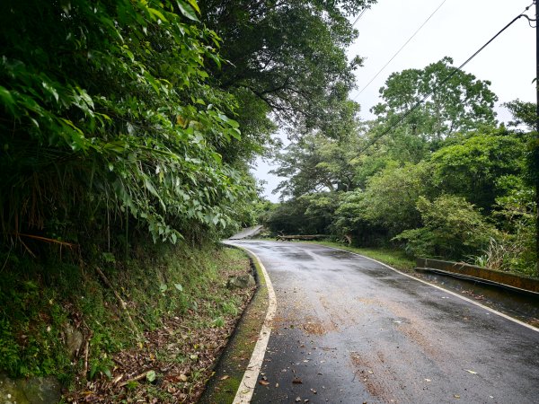 [淡蘭古道] 2026_0614 北路第三段_道路3075535