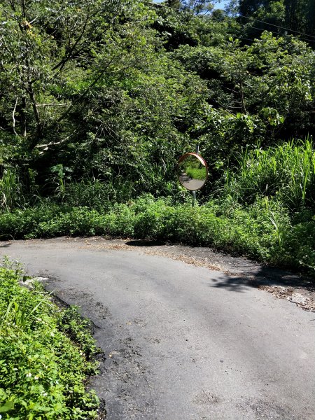 步道巡訪員 l 白毛山步道6月巡訪日誌996262