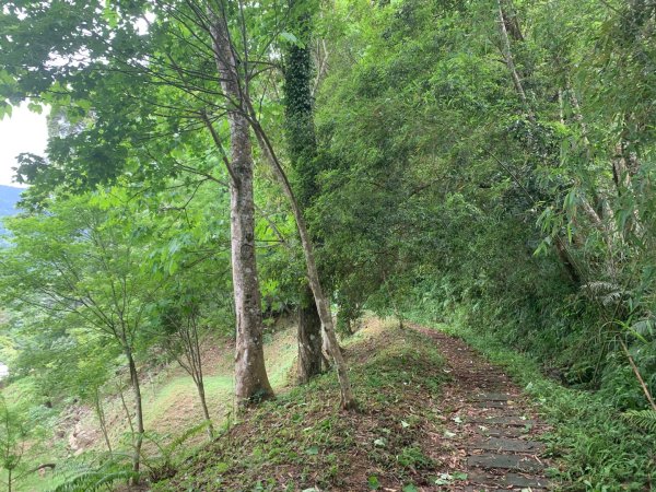 大崎棟古道、騎龍古道2772314