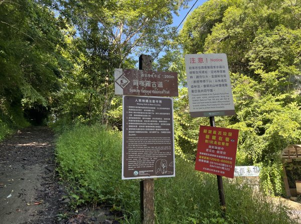 2025_0621 霞喀羅國家步道(養老端)2819858