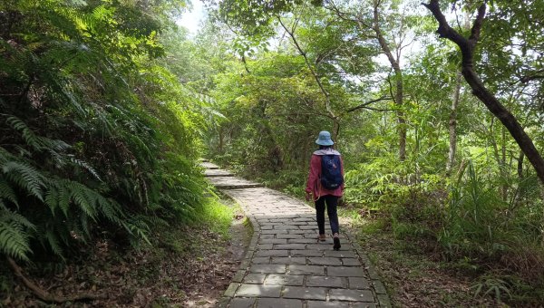 (姨婆趴趴走)第五十五集:攀登健走台北大崙頭尾山親山步道環狀一圈2853762