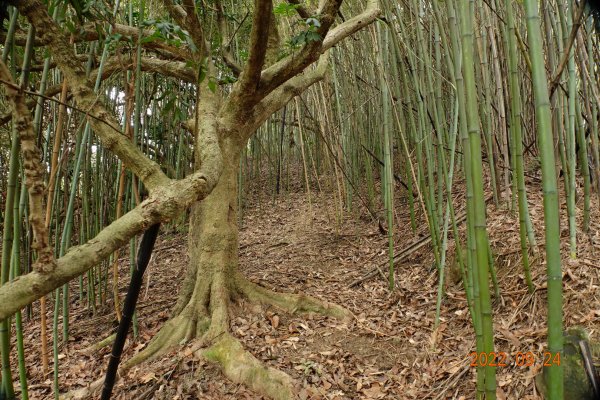 南投 萬斗山(萬丹山)1855176