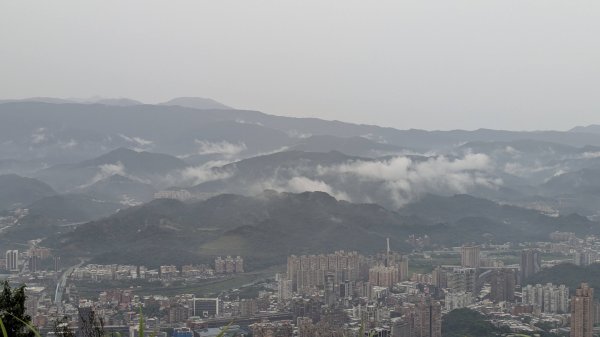 霧染大尖3074580