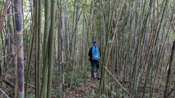 115.04.18寶山水庫+5連群峰之旅3039693