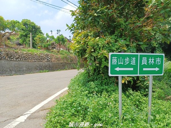 【彰化員林】員林百果山上最具人氣的休閒步道。 台灣百大必訪步道。 藤山步道1689457