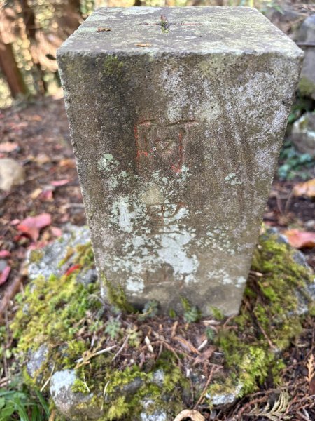 20251225塔山步道(大塔山)2970344