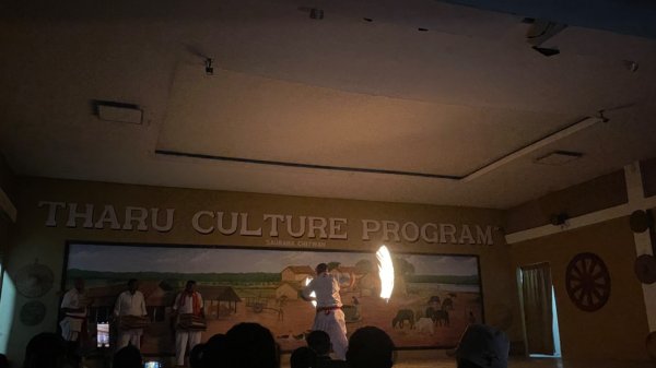 尼泊爾奇旺國家公園4天三夜2788953