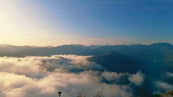 除夕寒流來襲的翡翠水庫雲海&天元宮寒櫻1/282700690
