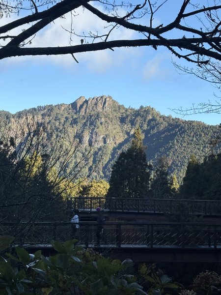 20251225塔山步道(大塔山)2970241