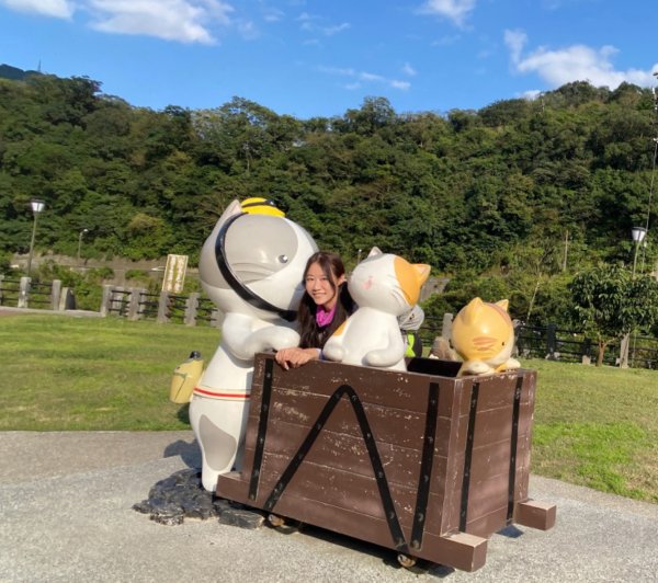 瀑布 樹陰 軌道與貓1277537