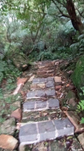 陽明山東西大縱走，下次再把西段走完1963571