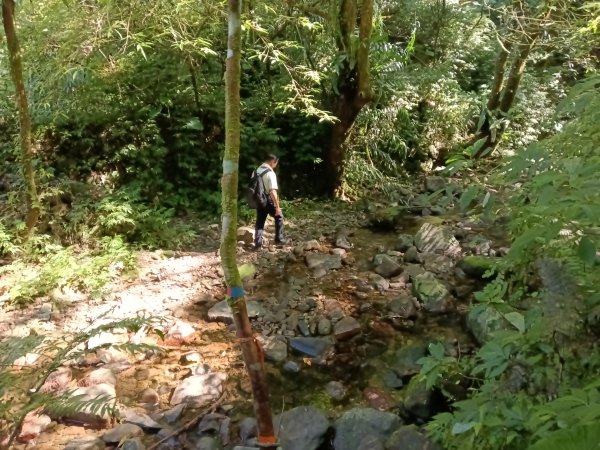 坪林區南闊瀨行(枋山坑古道+枋山坑崙+闊瀨越嶺保甲路O型)2916756