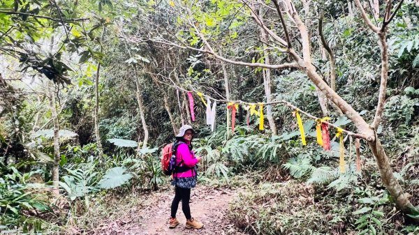 🌈1/18(六)小百岳雙收~大橫屏山+九份二山順遊賞梅🌈FB：熊熊趴爬走 歡迎加入2692552