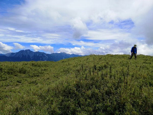 南投~仁愛~箭竹草原全視野~合歡北峰1008224