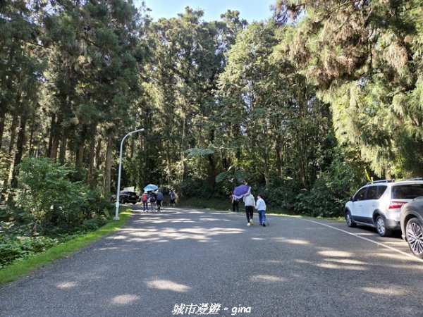 【南投鹿谷】溪頭天文台登山步道3037352