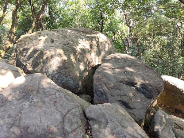 微笑山線：【天上山系】烘爐地土地公段：外南勢角山2963552