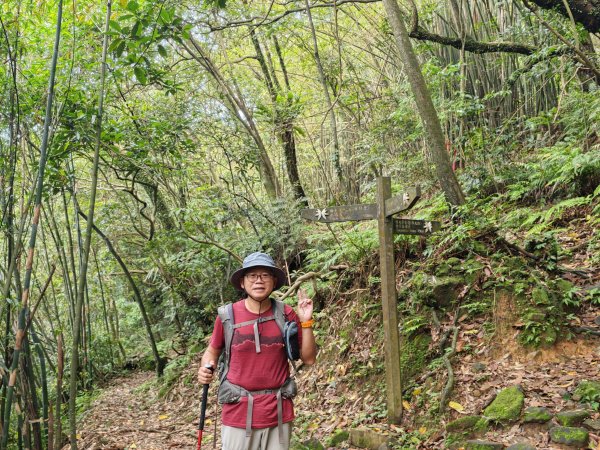 [淡蘭古道] 2026_0502 北路第二段_楊廷理古道3047706