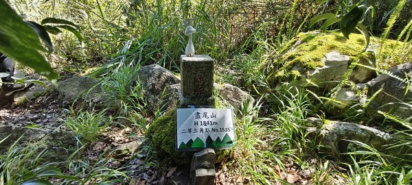 2025/06/15_盡尾山步道2812740