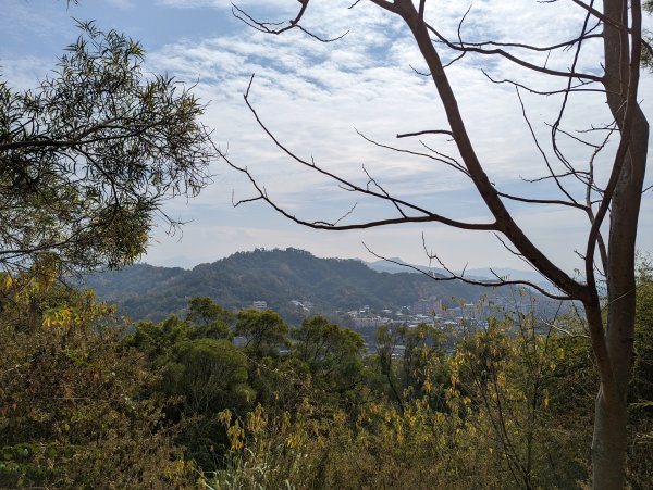 2023-02-04 大坑9、10號步道2792392