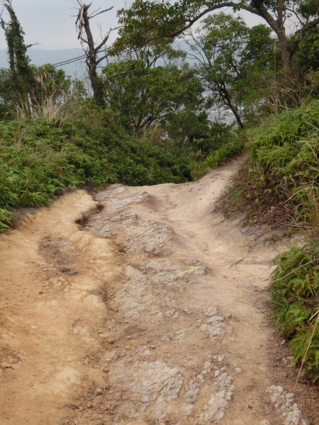 軍艦岩．丹鳳山步道91915