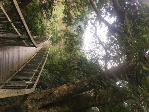 四十二份湧泉2723153