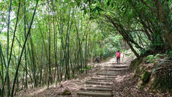 三貂嶺,中坑,柴寮古道1838275