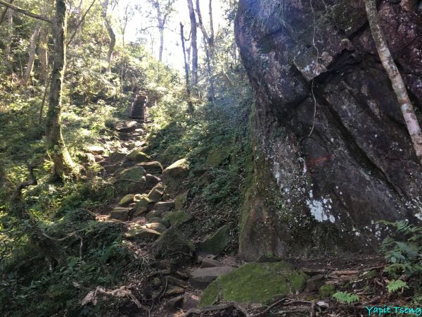 北得拉曼神木步道 內鳥嘴山282872