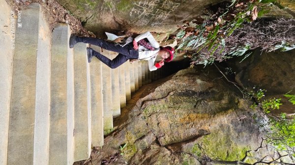 圓通寺烘爐地登山步道大O走3007065